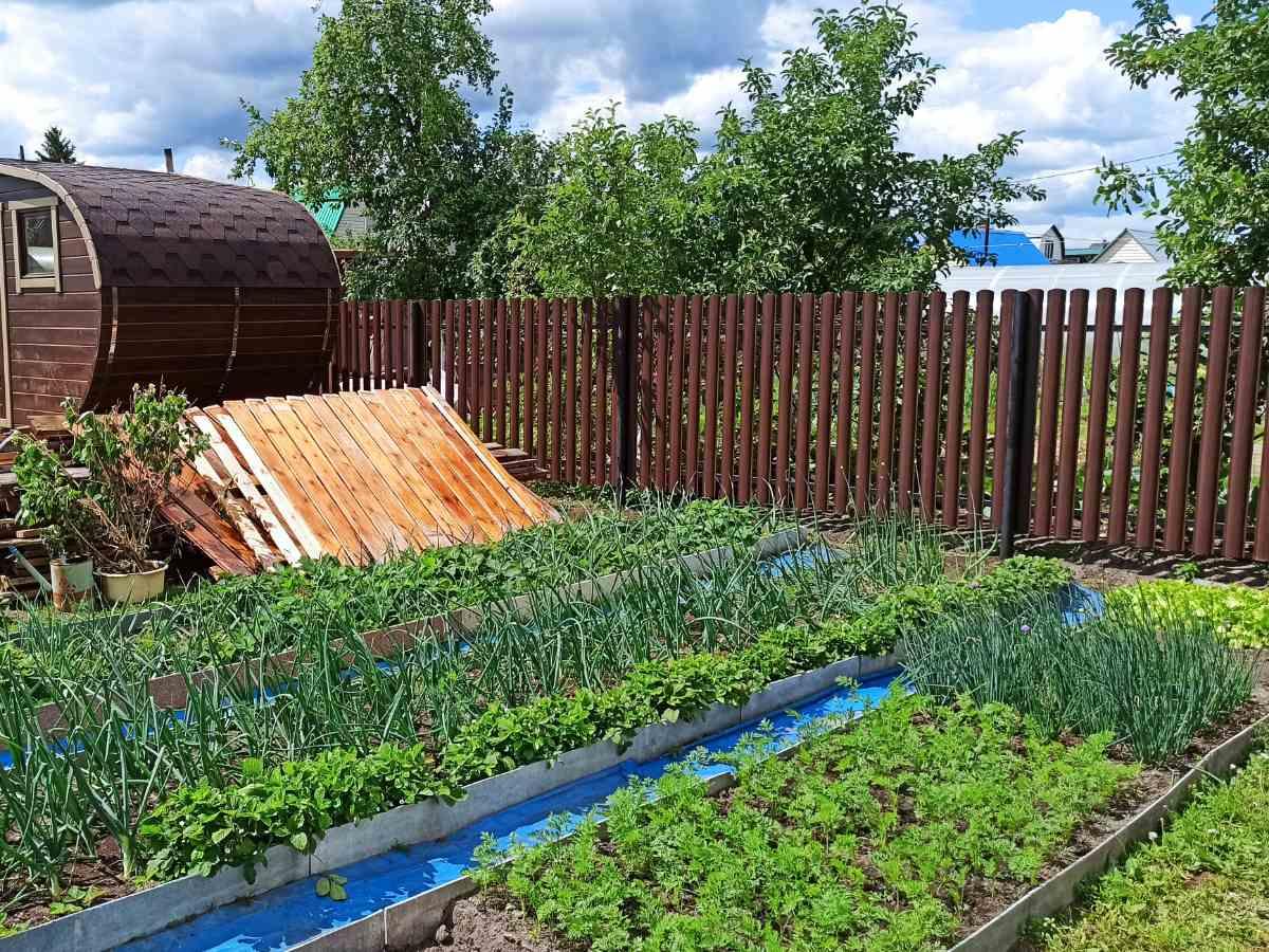 Забор из металлического  штакетника с полимерным покрытием с зазором