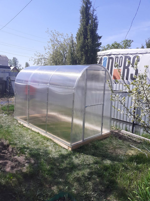 Дэнис ширина 1,5м дуги 20*20
