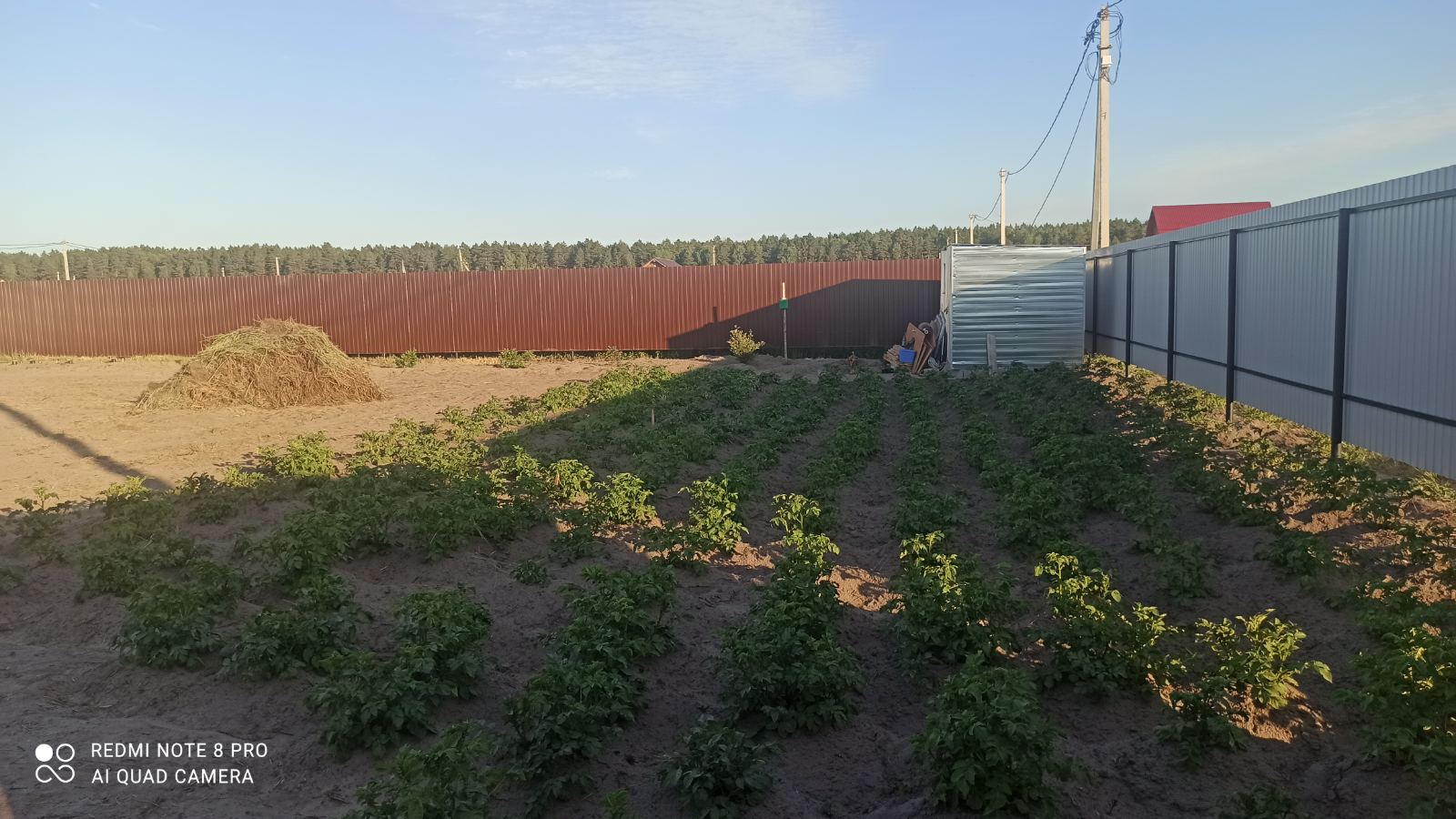 Забор из профнастила с полимерным покрытием "Шоколад" 
