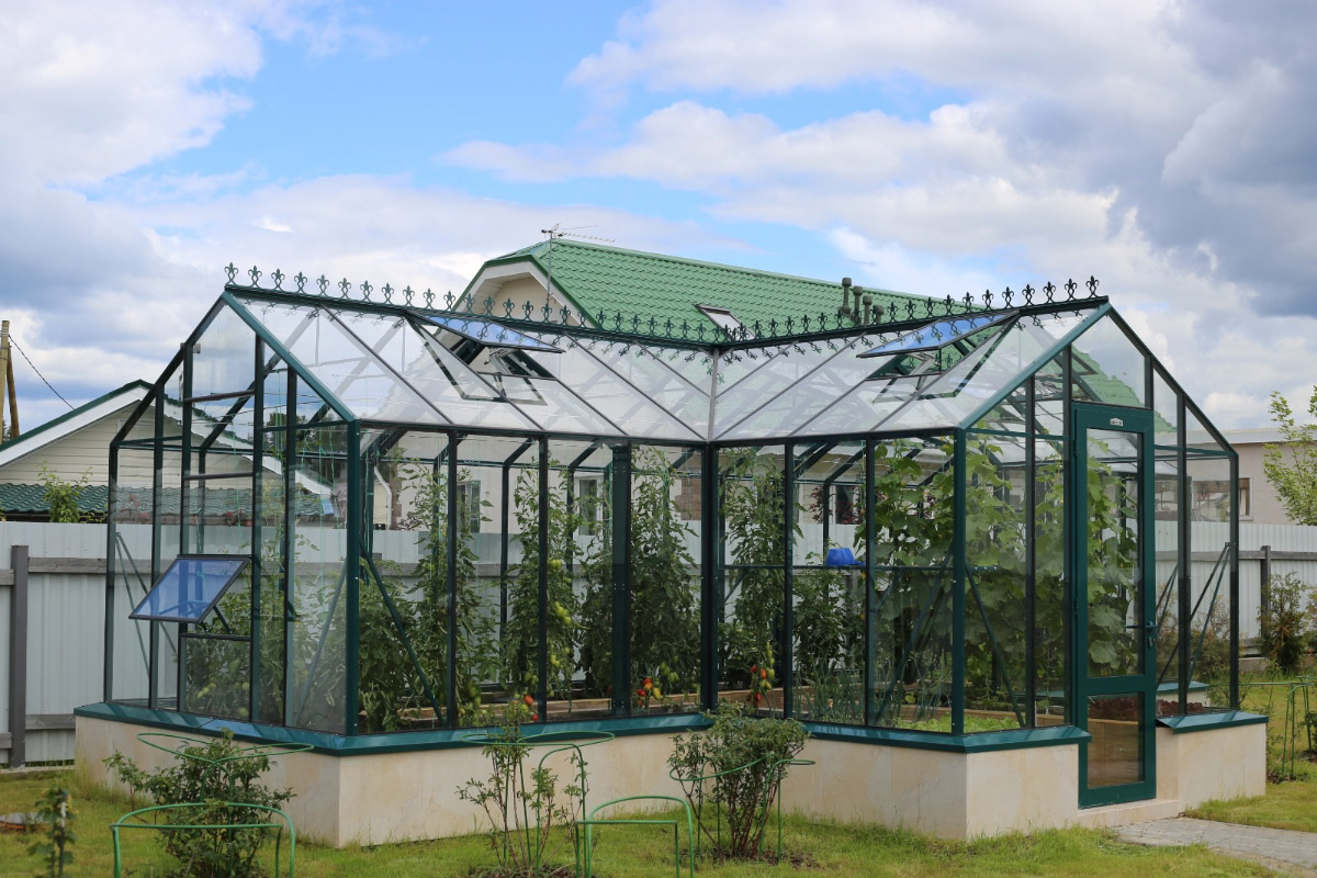 Botanik Т Standart с тамбуром 