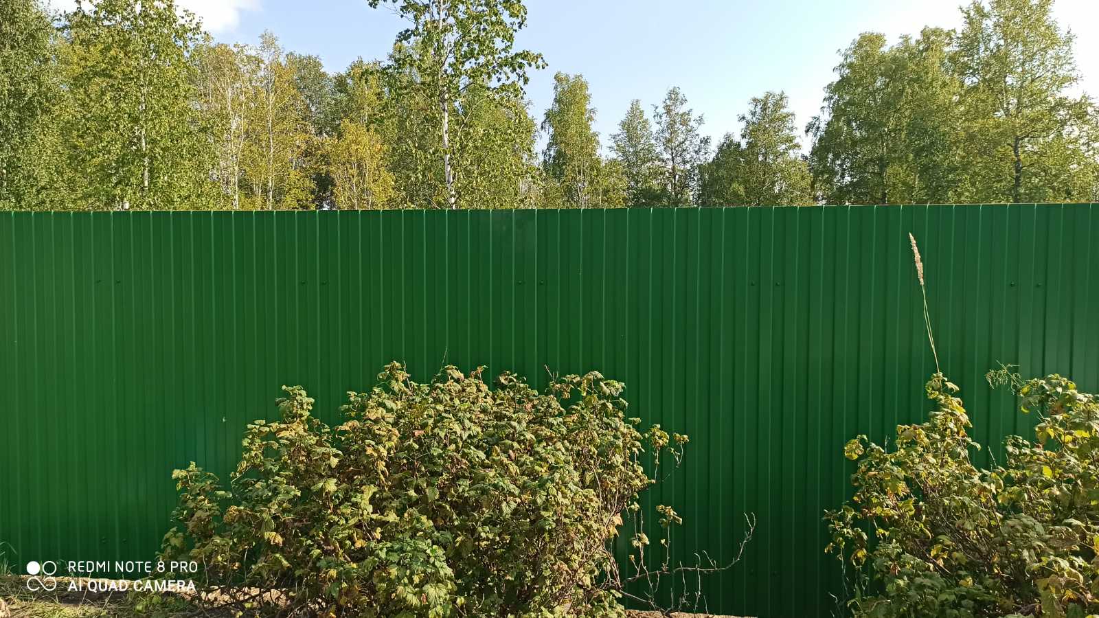 Забор из профнастила с полимерным покрытием "Зеленый мох" 